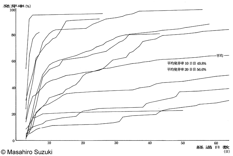 セイヨウタンポポの種子発芽曲線